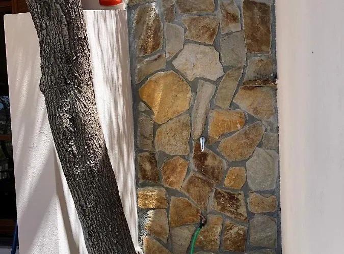 度假居 Domus Claudia 维拉西米乌斯